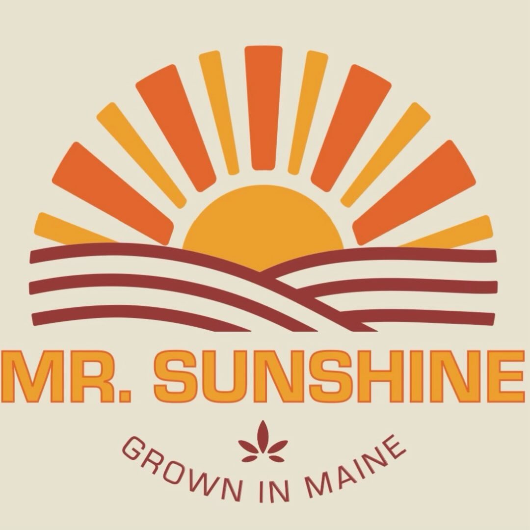 Mr. Sunshine Maine